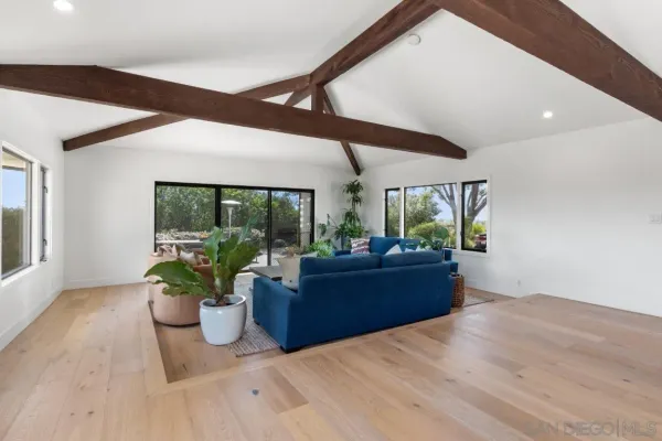 a room with furniture and a potted plant