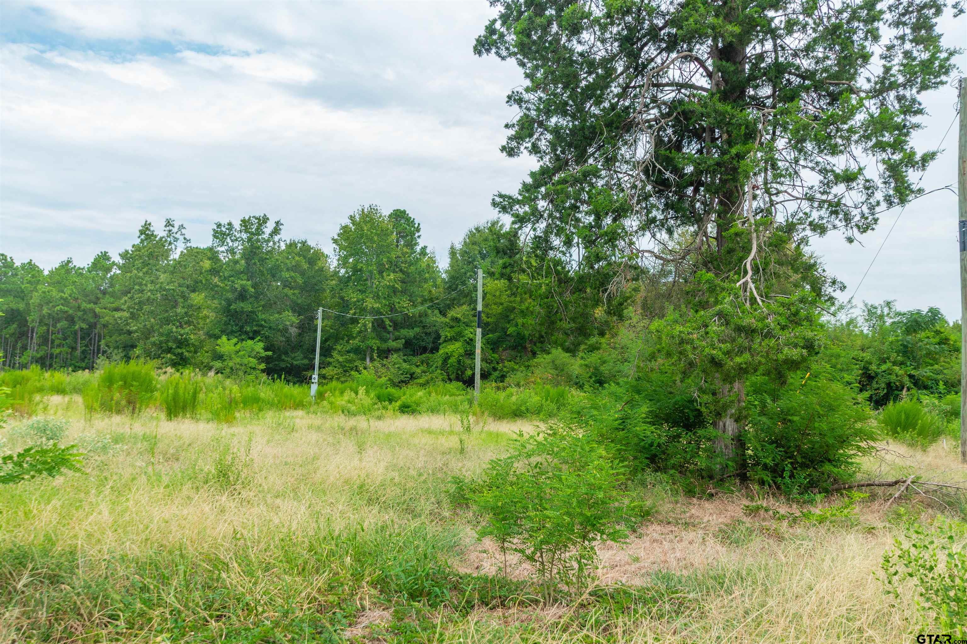 2450 Red Maple Road Big Sandy, TX 75755 - Photo 11 of 16 Gallery Image 11