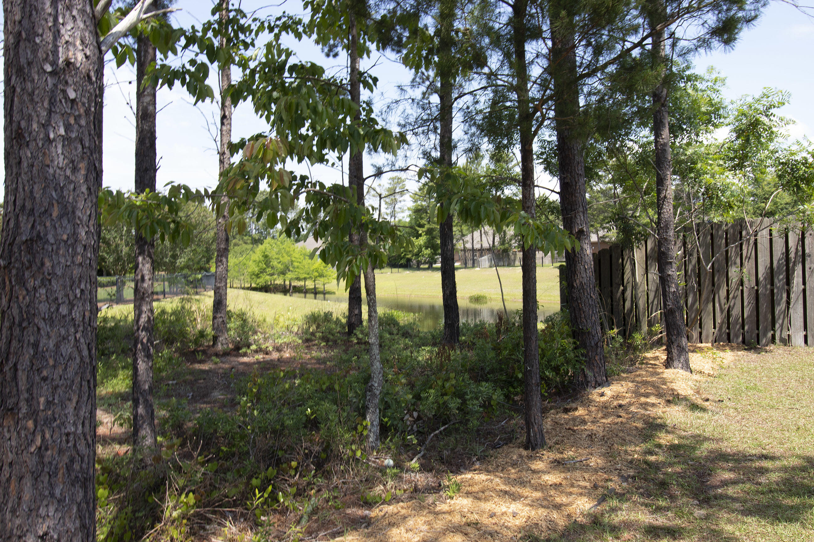 206 Mango Lane Freeport, FL 32439 - Photo 34 of 45 a view of backyard of a house