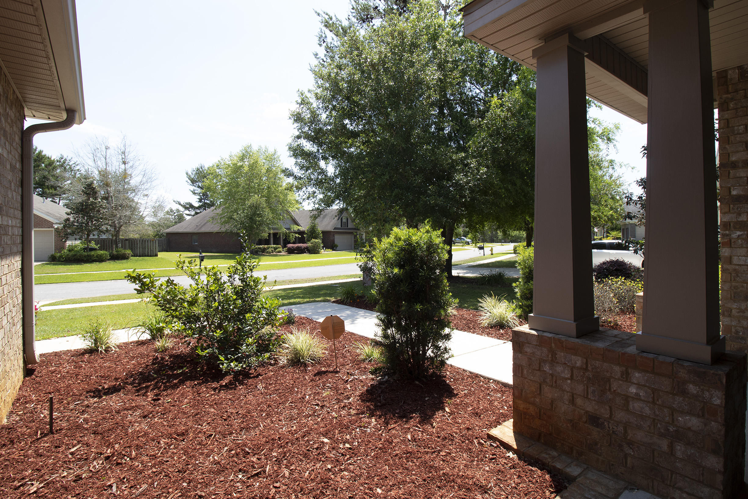 206 Mango Lane Freeport, FL 32439 - Photo 35 of 45 a view of a yard with a large trees