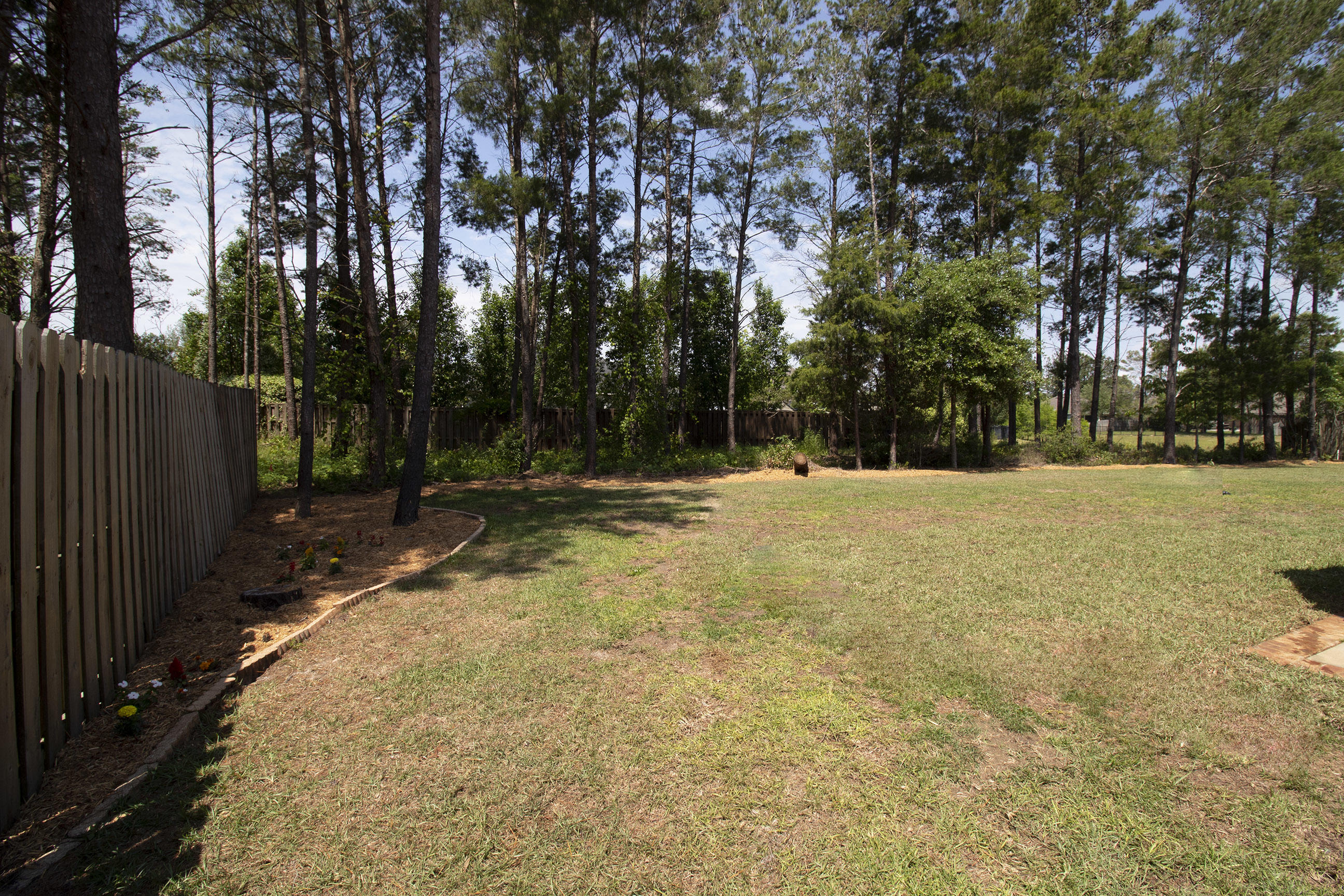 206 Mango Lane Freeport, FL 32439 - Photo 37 of 45 a view of outdoor space with trees