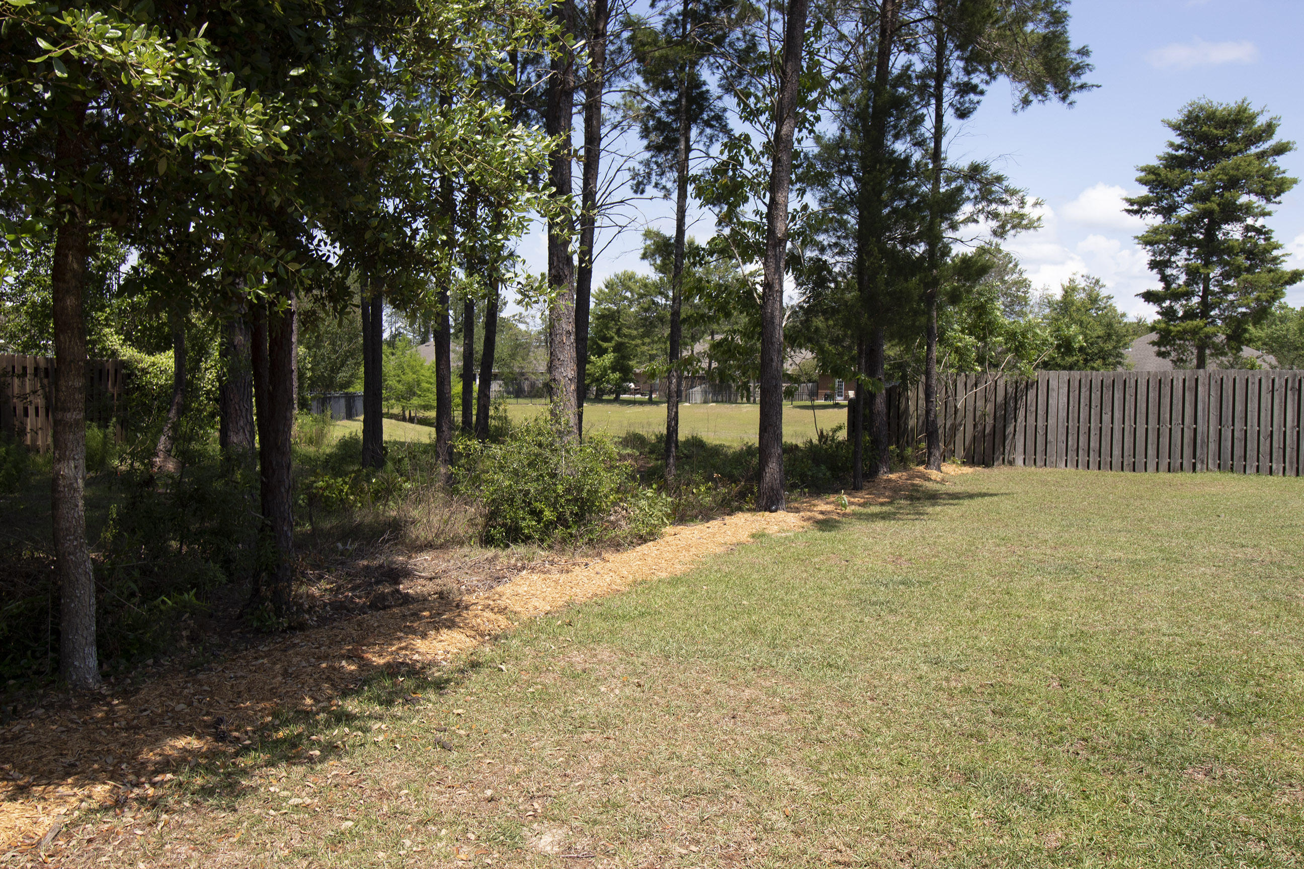 206 Mango Lane Freeport, FL 32439 - Photo 41 of 45 a view of a yard with plants and trees