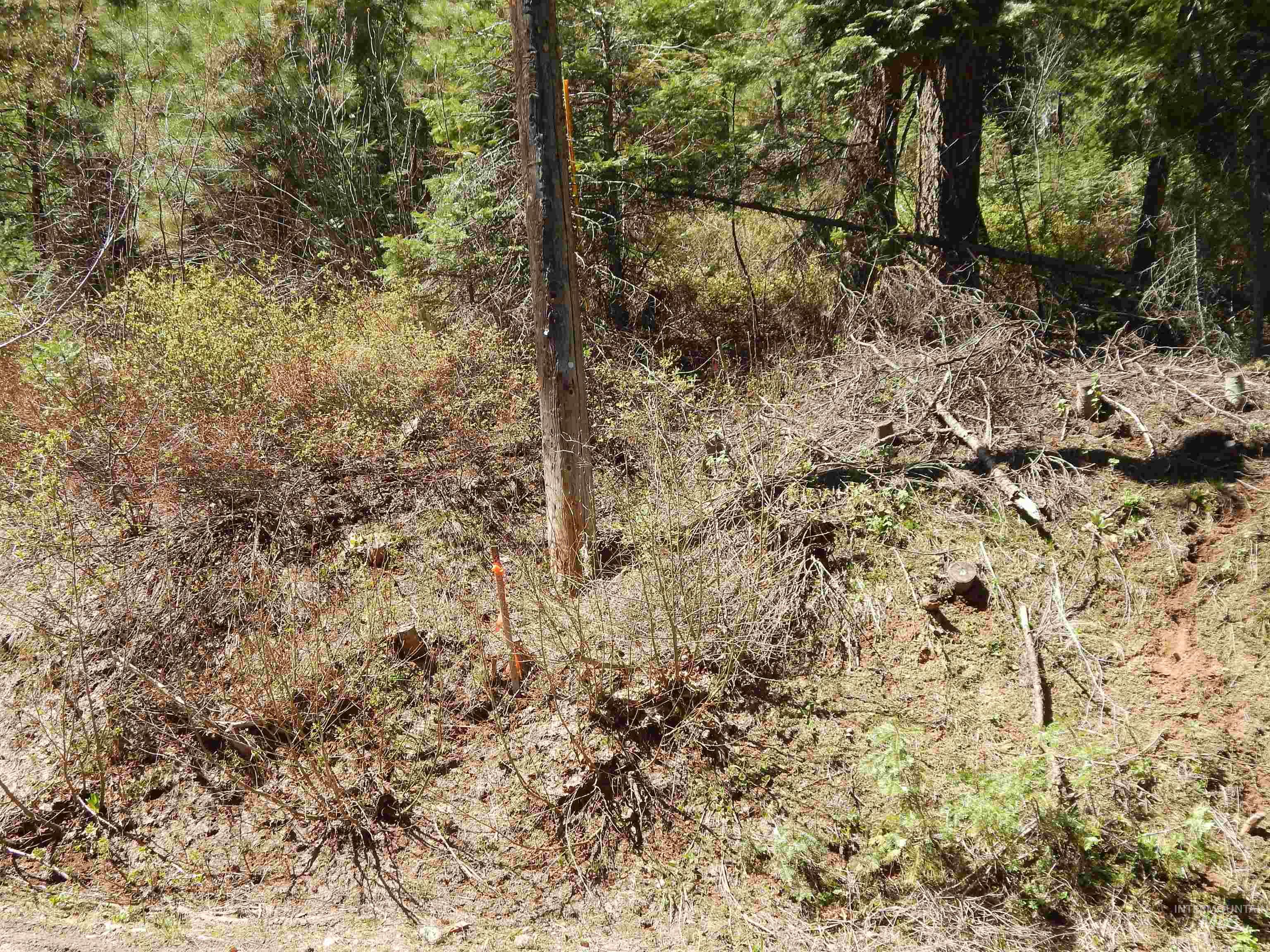 1601 Bear Trail Loop Cascade, ID 83611 - Photo 22 of 26