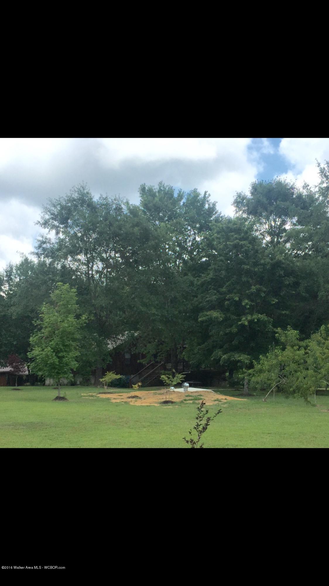 555 Clark Road Jasper, AL 35503 - Photo 38 of 42 Gallery Image 38