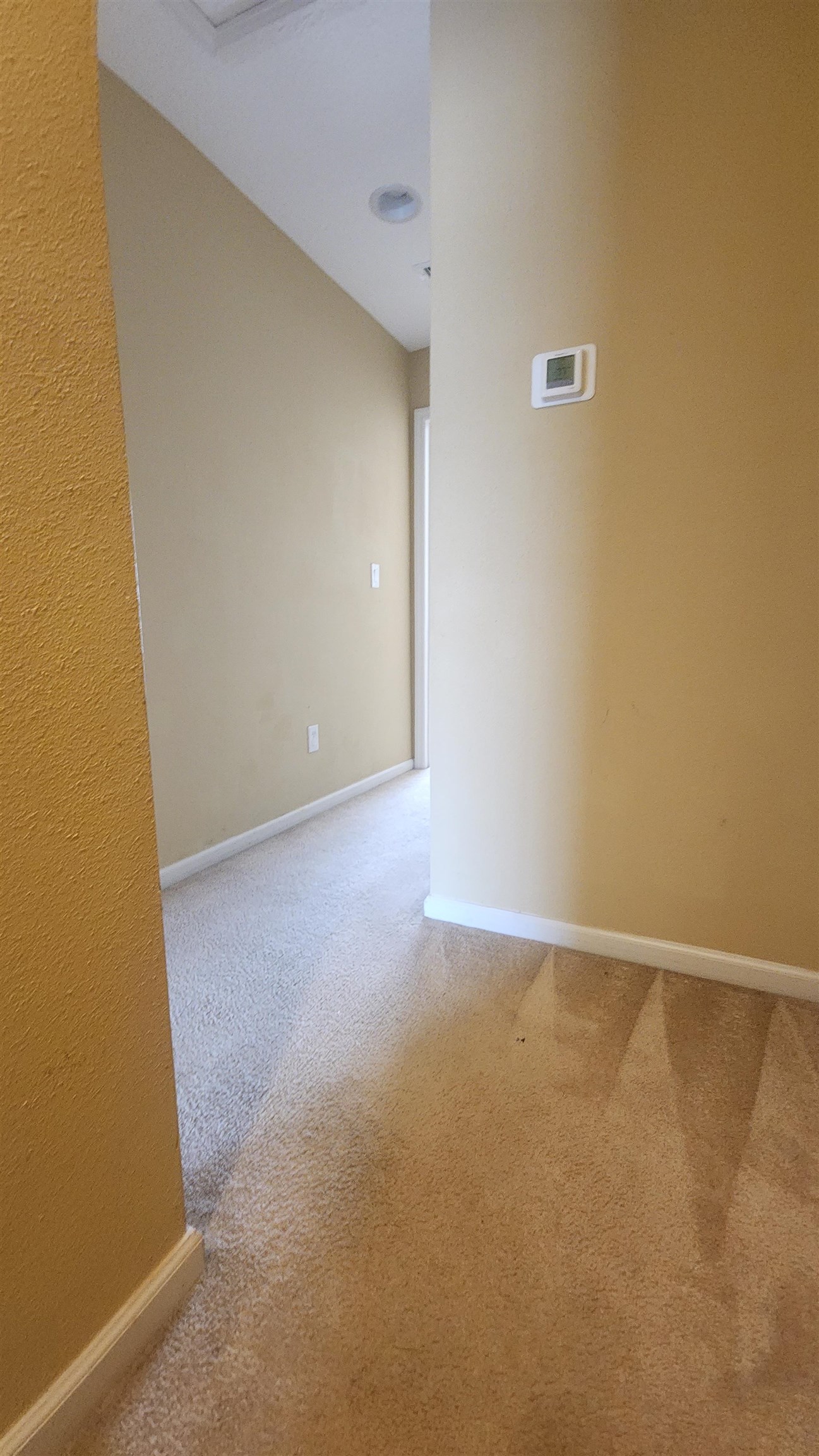 430 Cabernet Place St. Augustine, FL 32084 - Photo 11 of 19