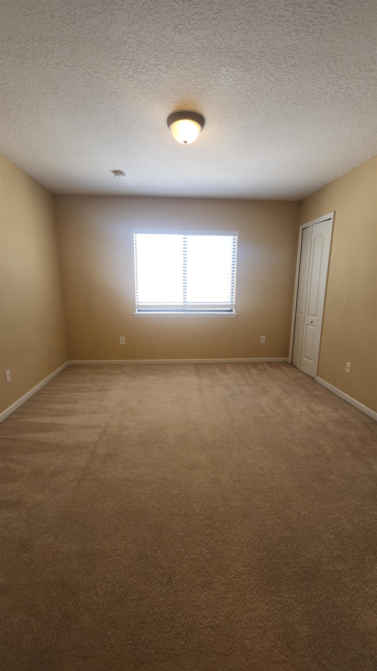 430 Cabernet Place St. Augustine, FL 32084 - Photo 15 of 19 an empty room with windows and closet