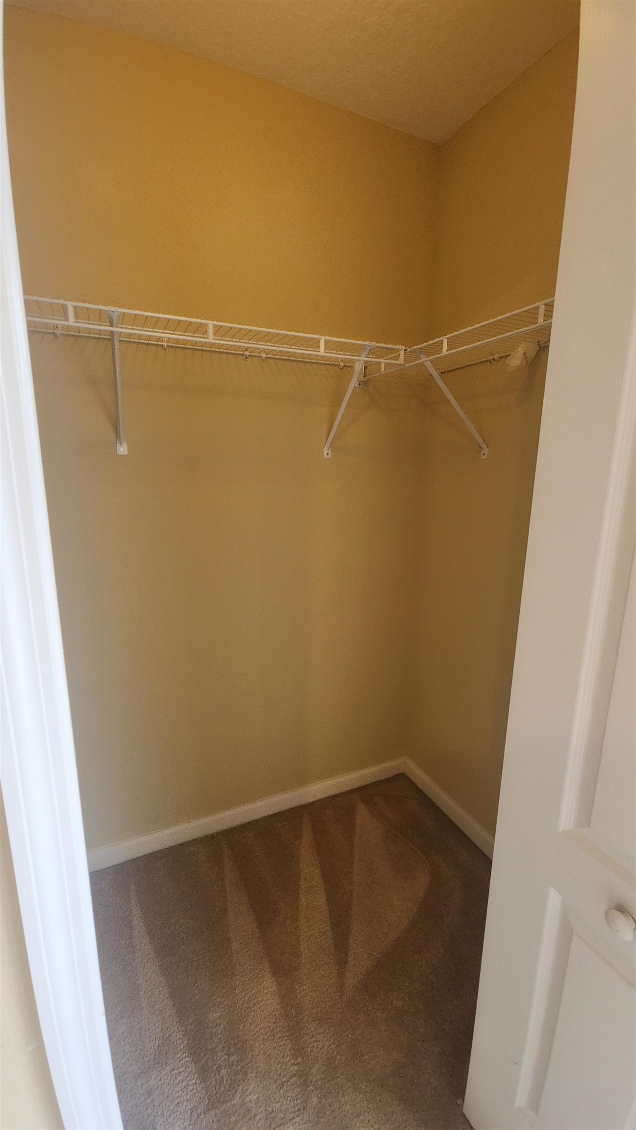 430 Cabernet Place St. Augustine, FL 32084 - Photo 19 of 19 a view of a room with racks on the wall