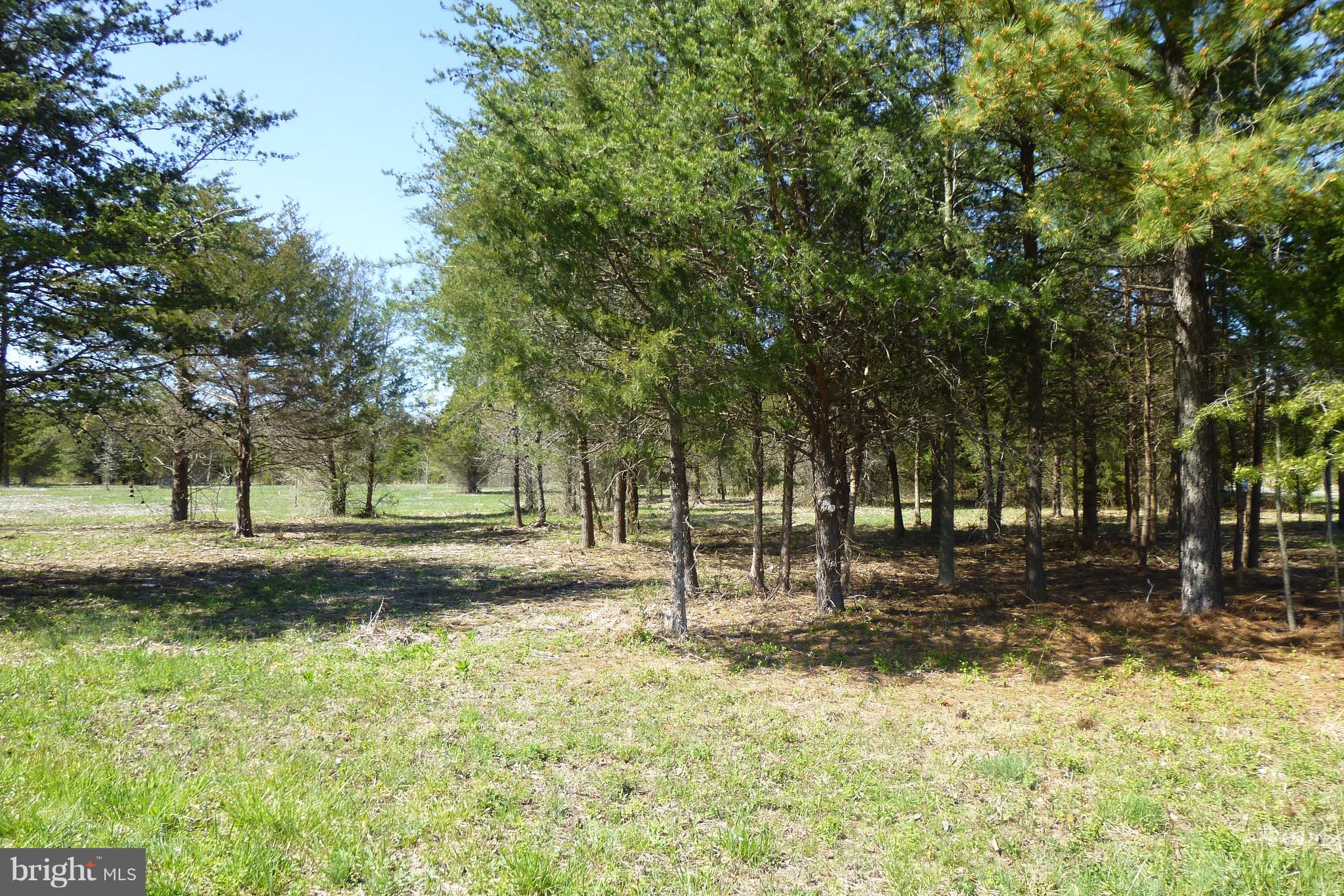 White Walnut Road Road Louisa, VA 23093 - Photo 1 of 7 Gallery Image 1
