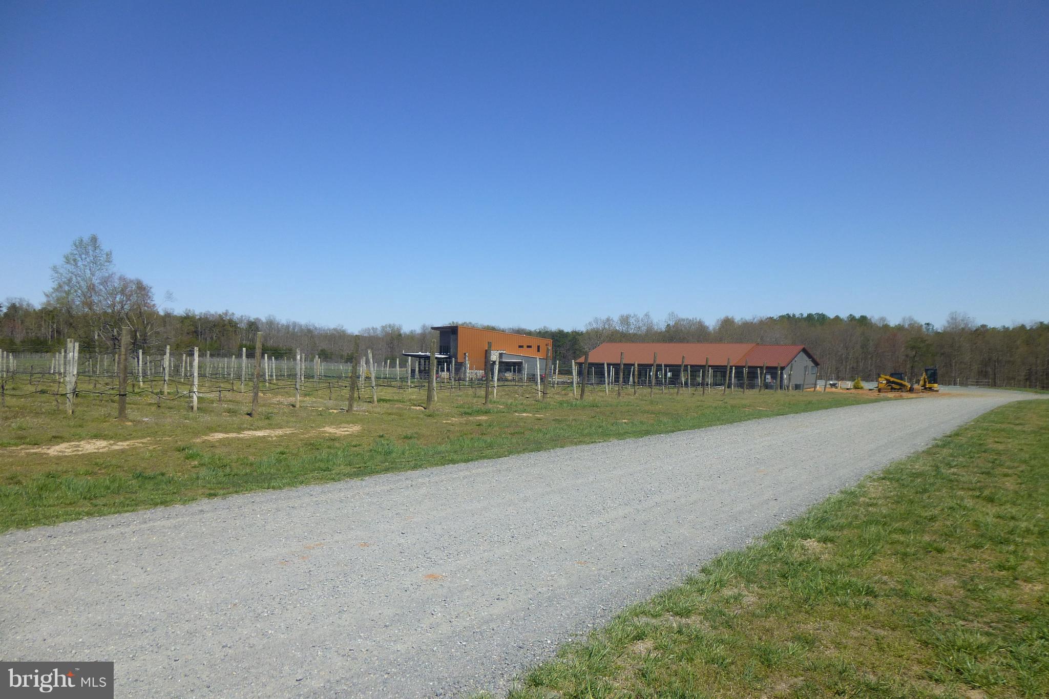 White Walnut Road Road Louisa, VA 23093 - Photo 5 of 7 Gallery Image 5