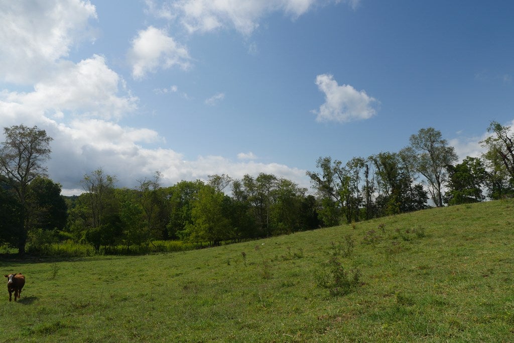 Tbd South Fork River Road Glade Spring, VA 24340 - Photo 19 of 25 Gallery Image 19