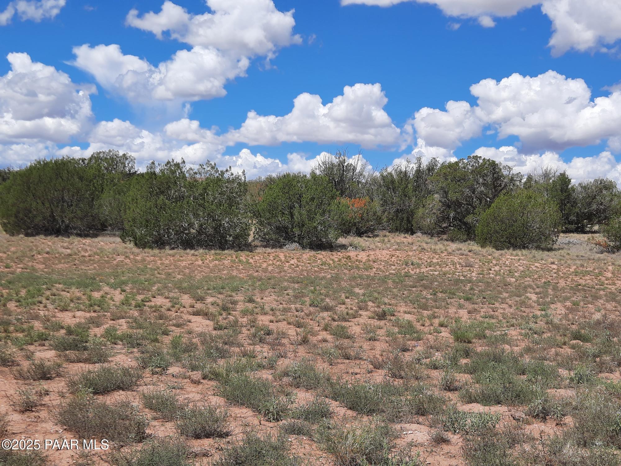 26800 Hwy Road Seligman, AZ 86337 - Photo 3 of 7 20250908_111608