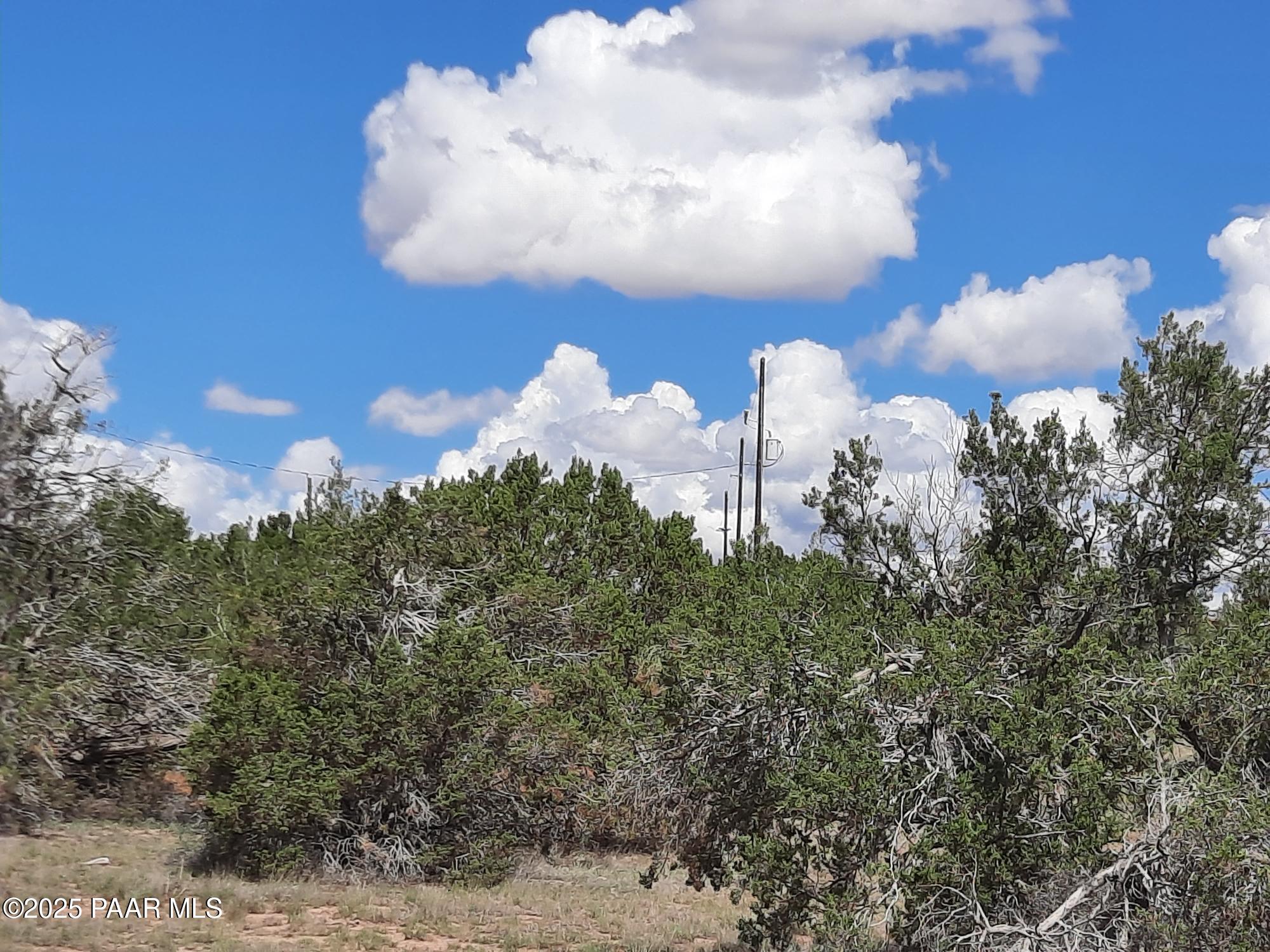 26800 Hwy Road Seligman, AZ 86337 - Photo 4 of 7 20250908_111633