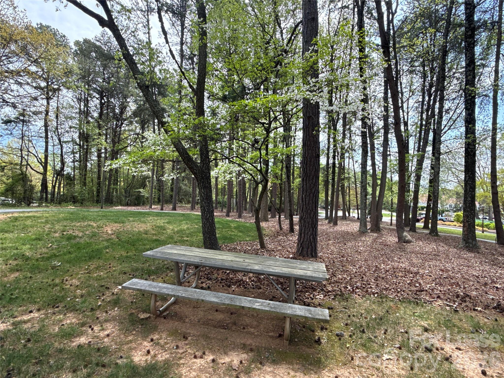 646 Portside Drive Davidson, NC 28036 - Photo 39 of 48 a view of a park with large trees