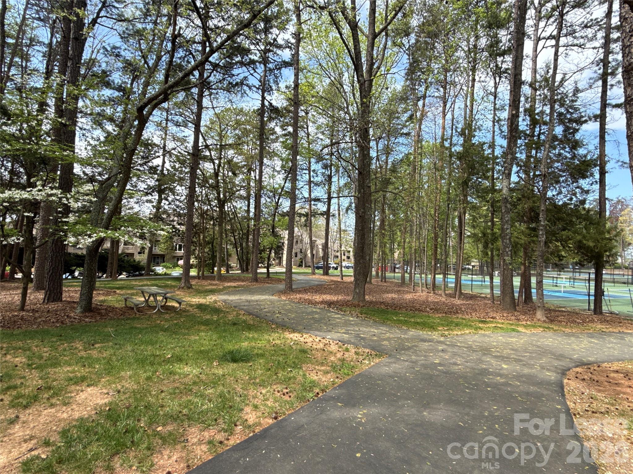 646 Portside Drive Davidson, NC 28036 - Photo 40 of 48 a view of a trees in a yard