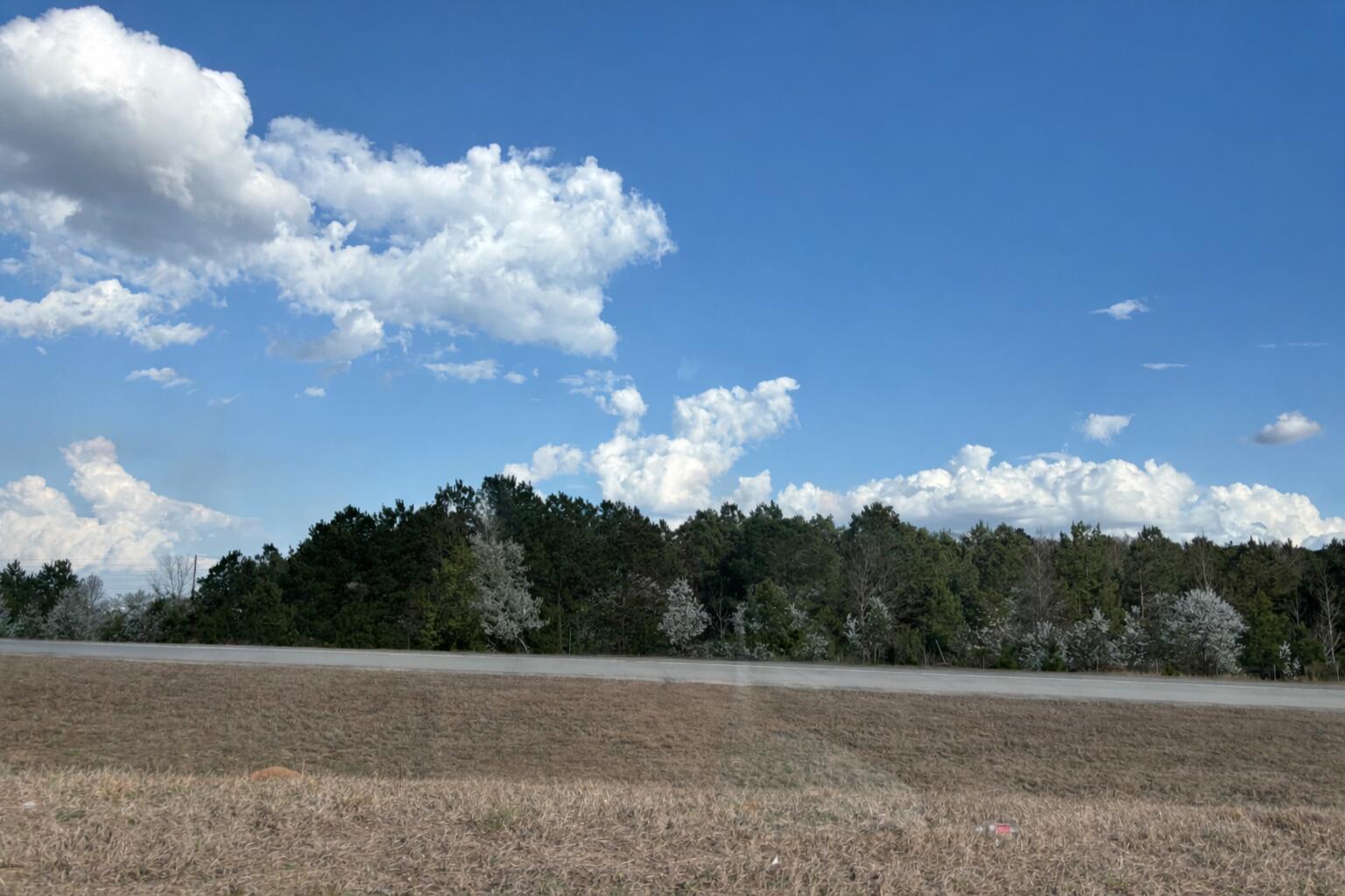 0 Five Five Chop Road Vance, SC 29163 - Photo 5 of 6