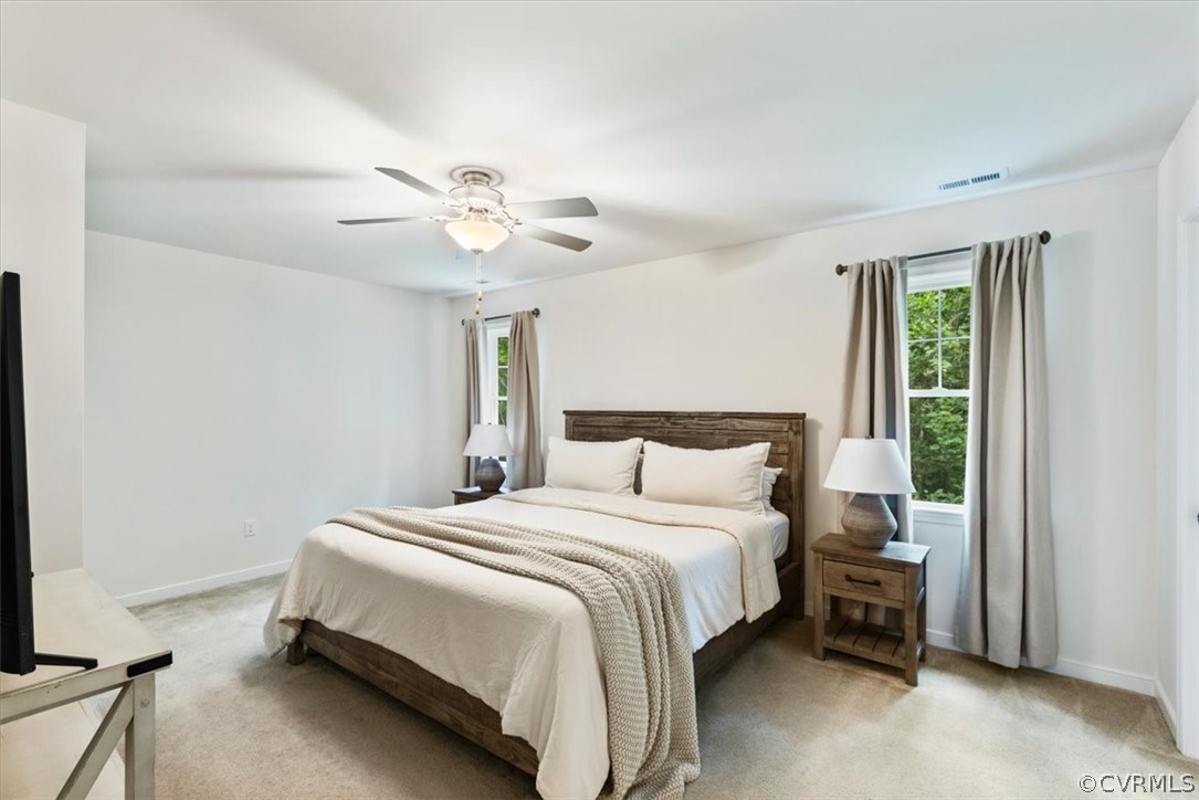 11814 Rimswell Turn Midlothian, VA 23112 - Photo 21 of 42 Gallery Image 21