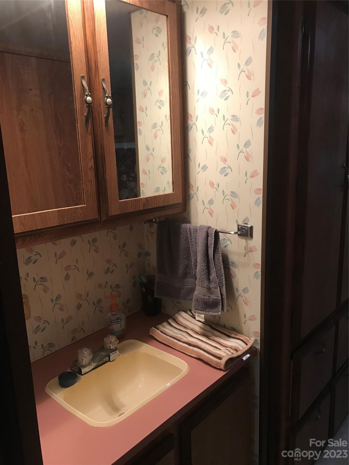 154 Roberts Ridge Road Mount Gilead, NC 27306 - Photo 28 of 35 a bathroom with a sink and a mirror