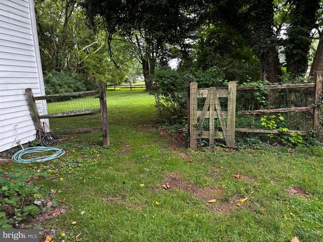 a view of a backyard with plants and a backyard