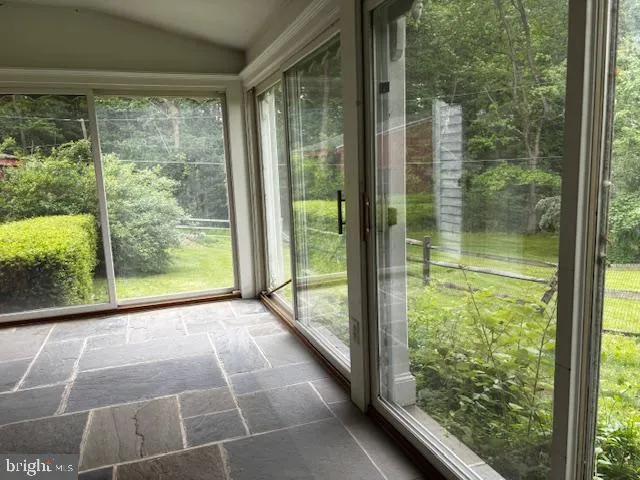 a plant view in yard