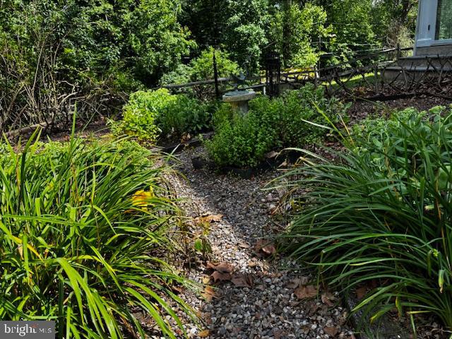 410 Wharf Road, Unit RIVER Bensalem, PA 19020 - Photo 51 of 62 a plant view in yard