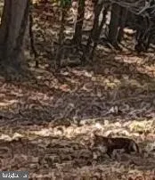 $3,400 | 410 Wharf Road, Unit RIVER, Bensalem, PA 19020