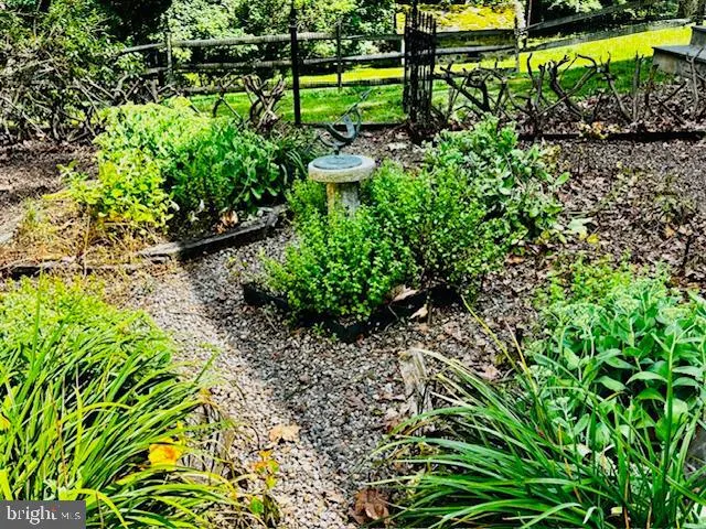 a view of a garden with a flower in a garden