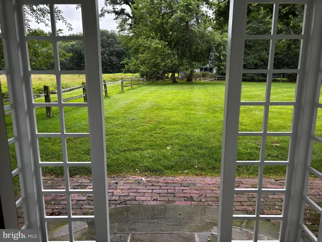 a view of a garden with a flower in a garden