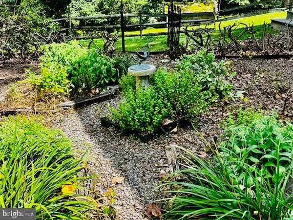 a view of a big yard with a large trees
