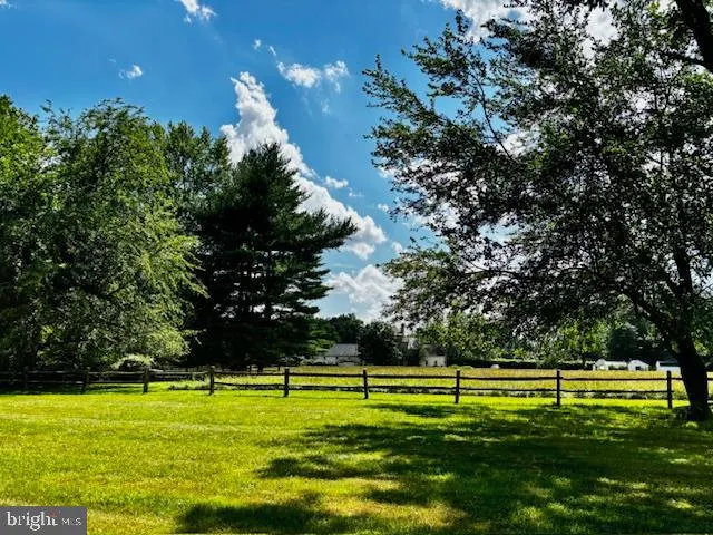 a view of a big yard with a large trees
