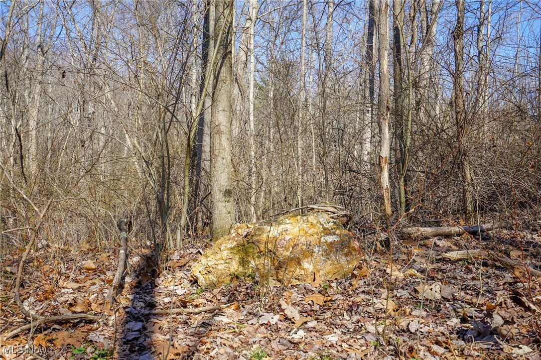 Cooks Hill Road Glenford, OH 43739 - Photo 2 of 46 View of landscape with a forest view