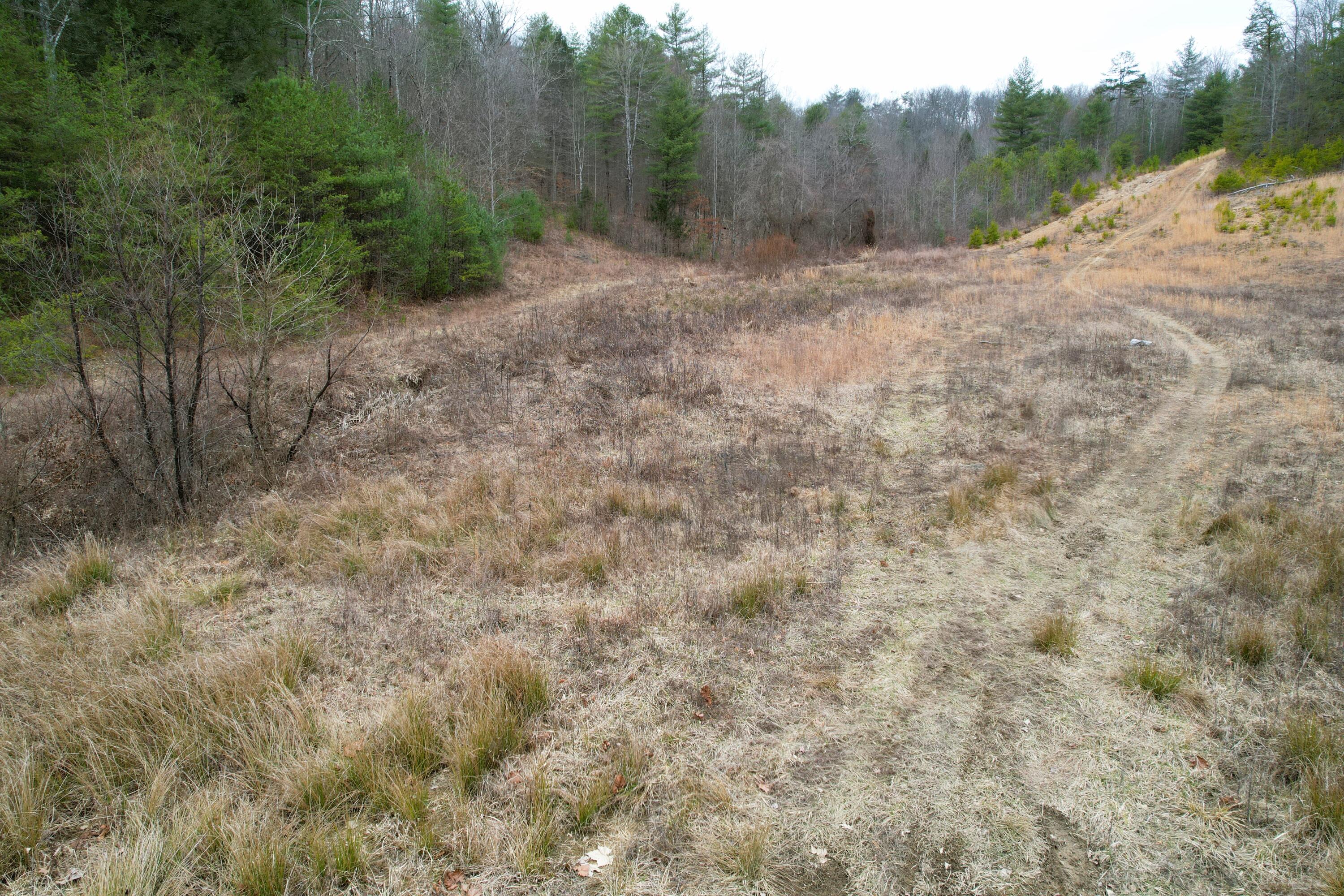 9999 Sandy Ridge Road Campton, KY 41301 - Photo 7 of 12 vacant 40899