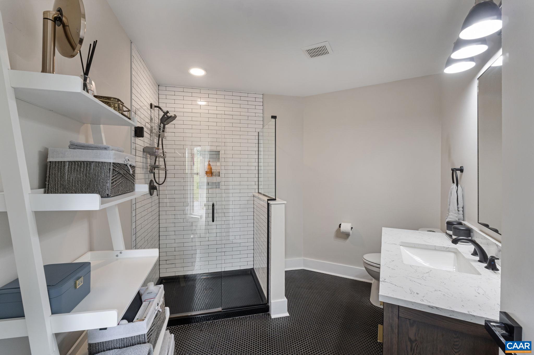 72 Daddy Rabbit Court Ruckersville, VA 22968 - Photo 43 of 71 a bathroom with a sink toilet and shower