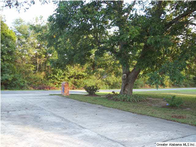 902 County Road 91 Jemison, AL 35085 - Photo 12 of 32