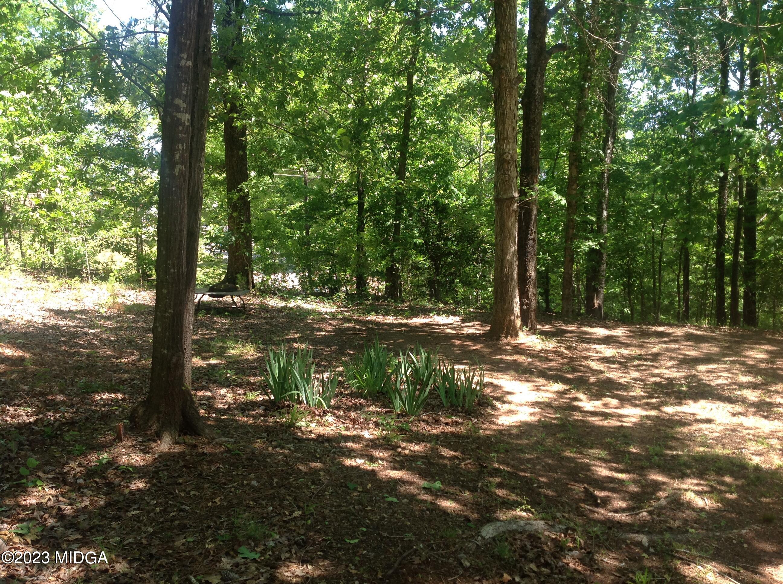 156 Henderson Road Macon, GA 31217 - Photo 30 of 39 IMG_8630