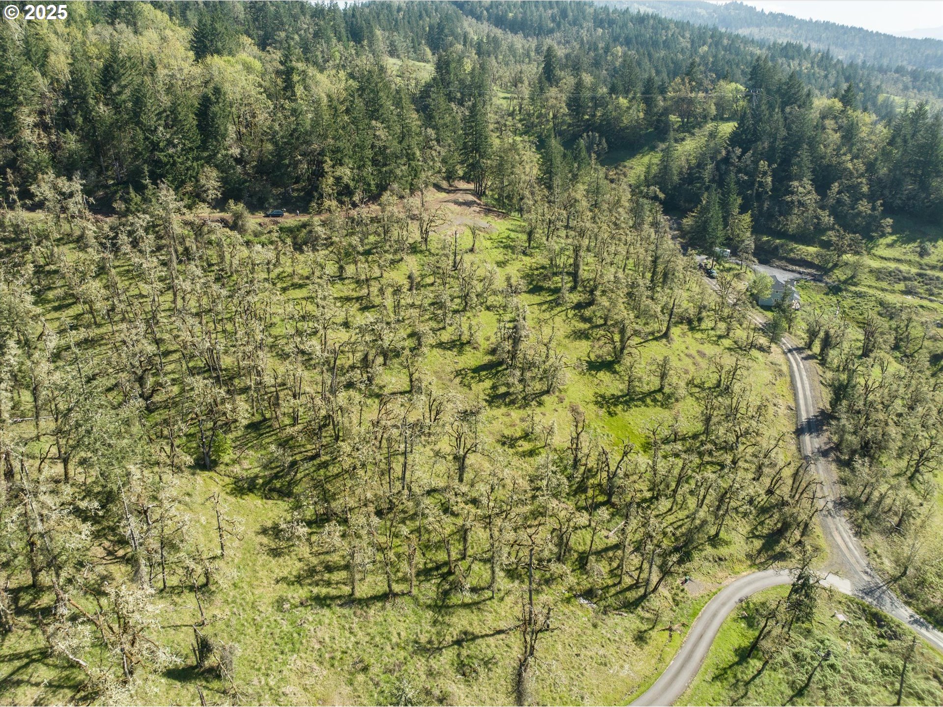 Oakshire Drive, Unit 11 Springfield, OR 97478 - Photo 12 of 17