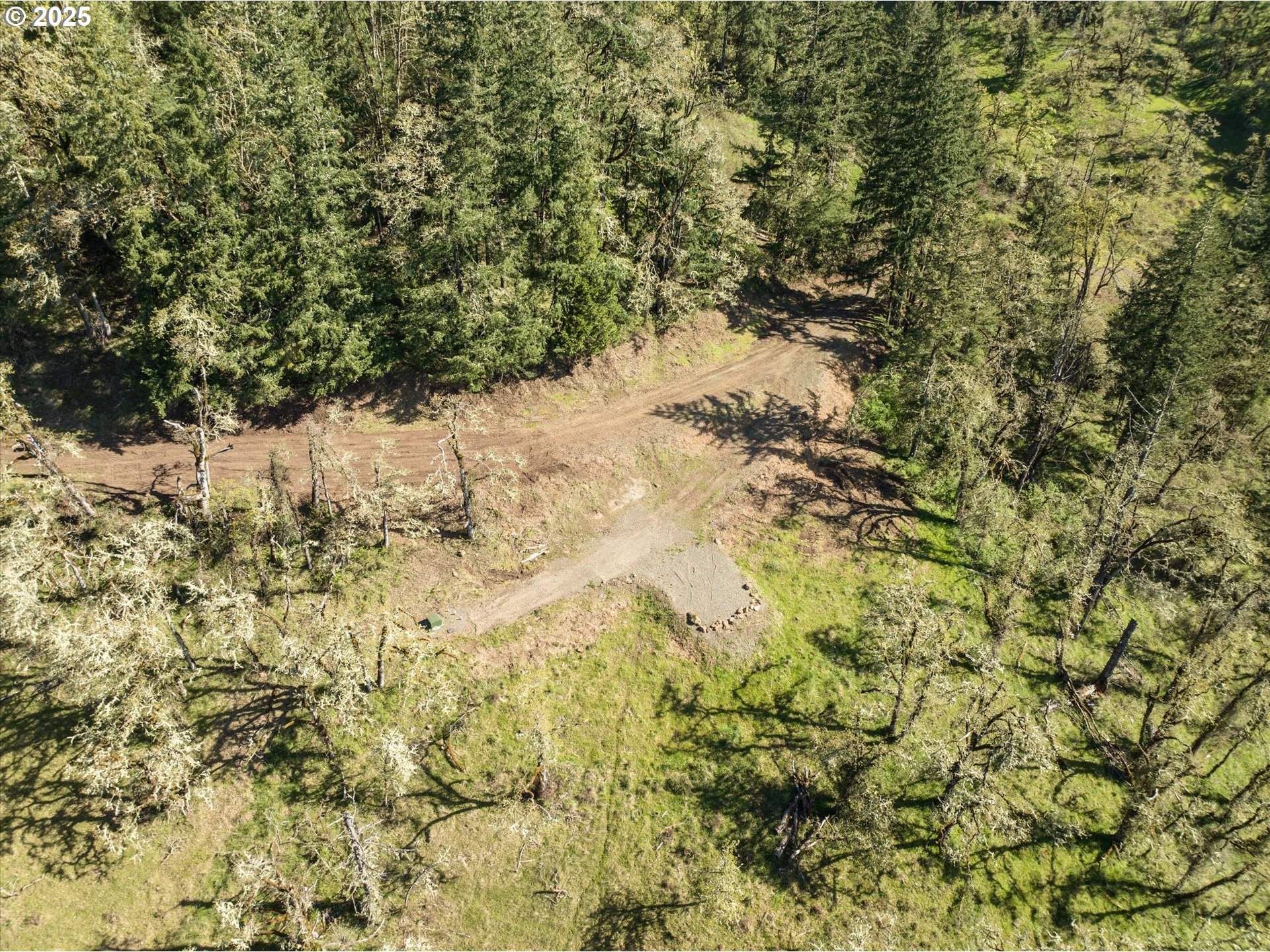 Oakshire Drive, Unit 11 Springfield, OR 97478 - Photo 4 of 17