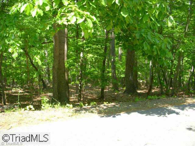 0 Scott Mountain Rd Extension Asheboro, NC 27205 - Photo 1 of 9 Exterior Front. Beautiful wooded acreage