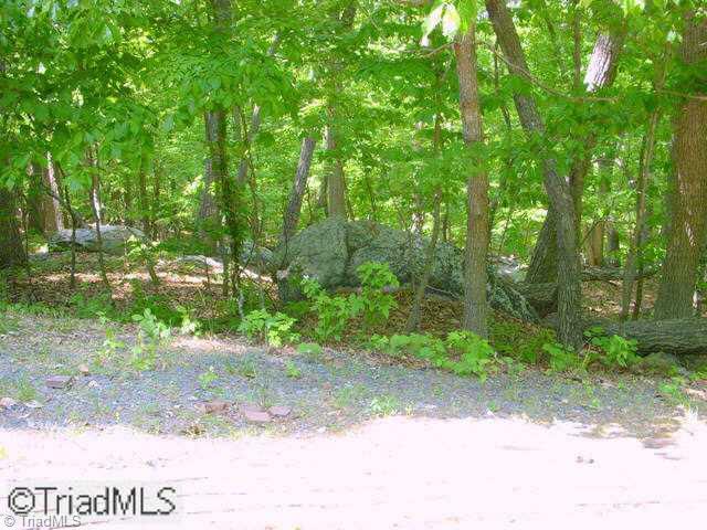 0 Scott Mountain Rd Extension Asheboro, NC 27205 - Photo 8 of 9 Other. The possibilities are endless!