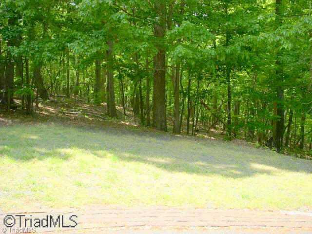 0 Scott Mountain Rd Extension Asheboro, NC 27205 - Photo 9 of 9 Other. Wooded acreage galore!