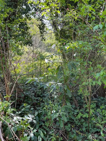 a backyard of a house with lots of green space and a fountain