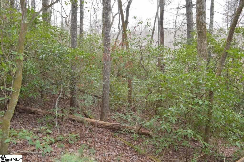 305 Evergreen Ridge Road Tamassee, SC 29686 - Photo 3 of 17 Gallery Image 3