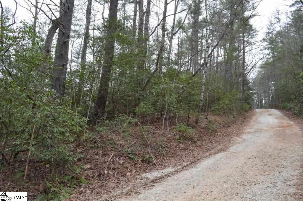 305 Evergreen Ridge Road Tamassee, SC 29686 - Photo 5 of 17 Gallery Image 5