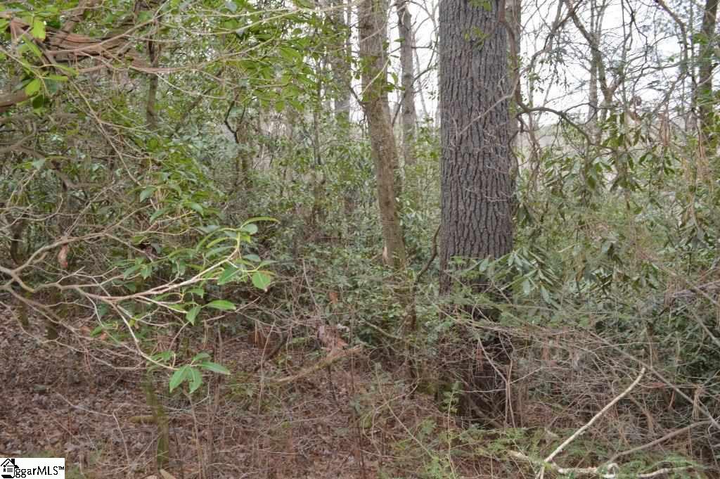 305 Evergreen Ridge Road Tamassee, SC 29686 - Photo 7 of 17 Gallery Image 7