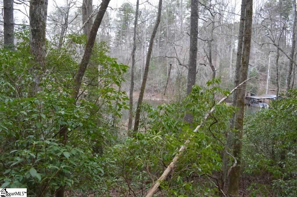 305 Evergreen Ridge Road Tamassee, SC 29686 - Photo 8 of 17 Gallery Image 8