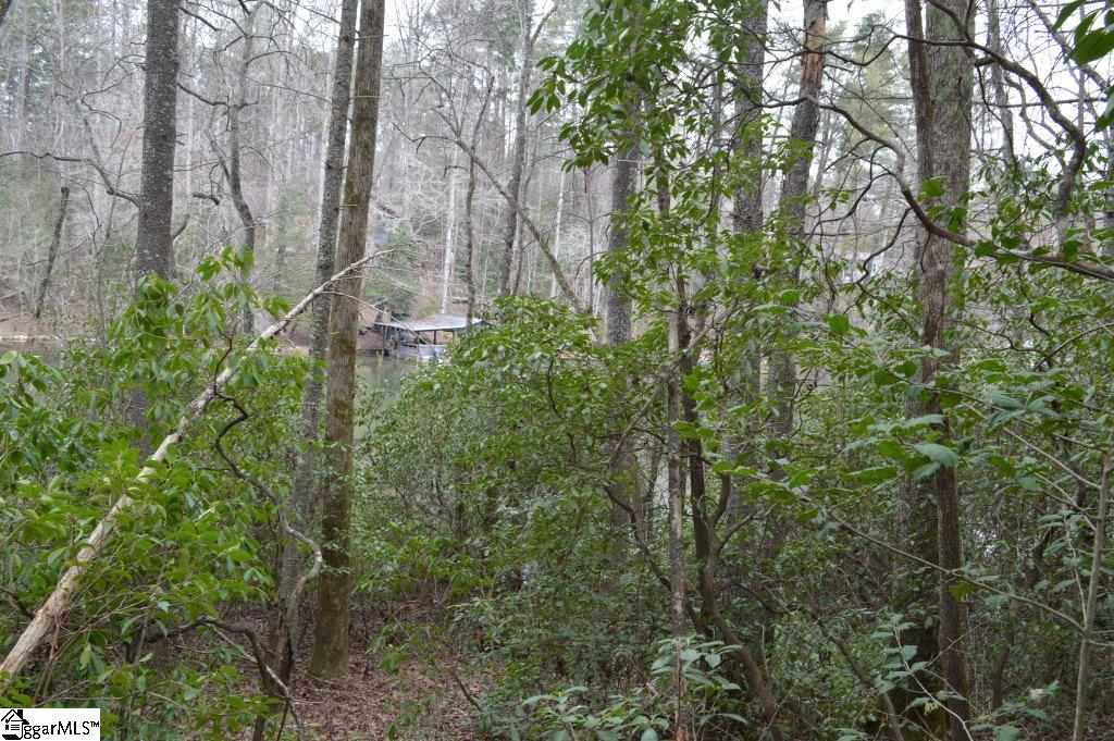 305 Evergreen Ridge Road Tamassee, SC 29686 - Photo 10 of 17 Gallery Image 10