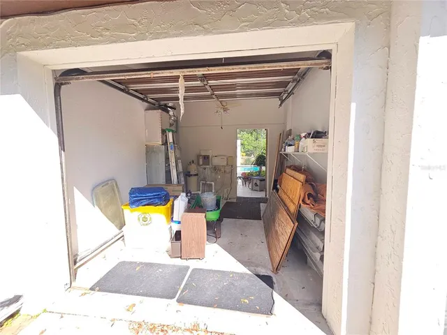 a view of a plant in a garden