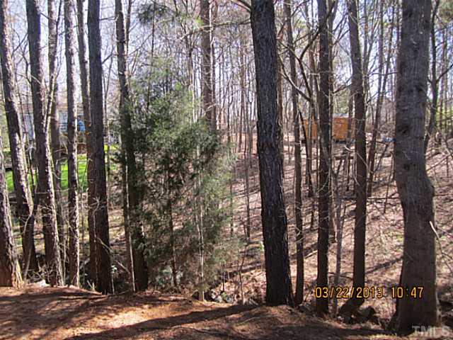 7615 Ladden Court Raleigh, NC 27615 - Photo 12 of 19 a view of a forest with trees