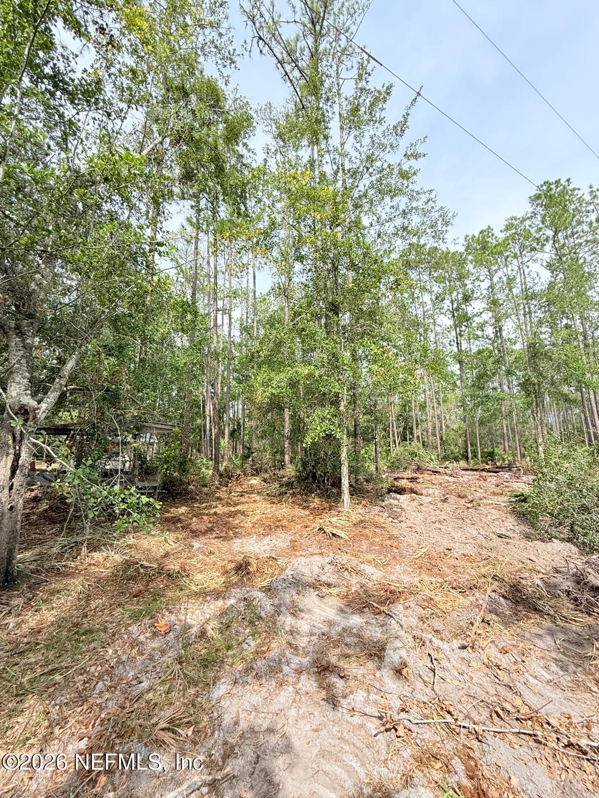 34 Whispering Pines Road Georgetown, FL 32139 - Photo 5 of 8 Interior of the property