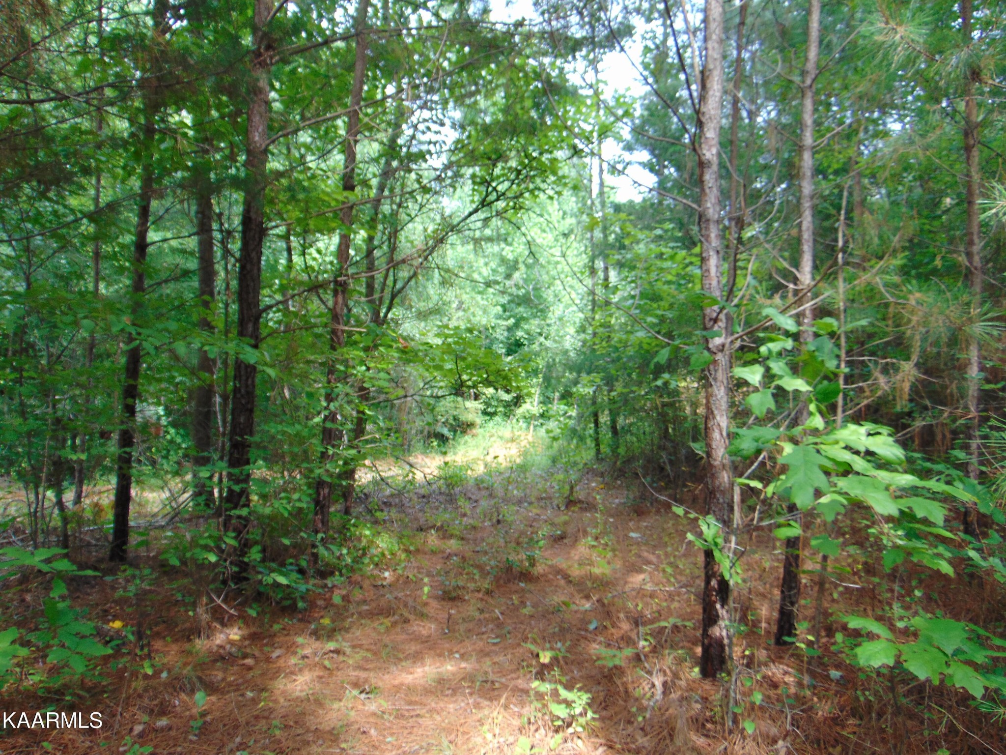 37 Pinhook Road Delano, TN 37325 - Photo 27 of 47 Gallery Image 27