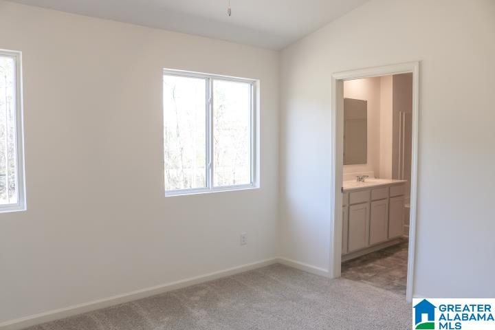 254 Chelsea Park Road Chelsea, AL 35043 - Photo 18 of 33